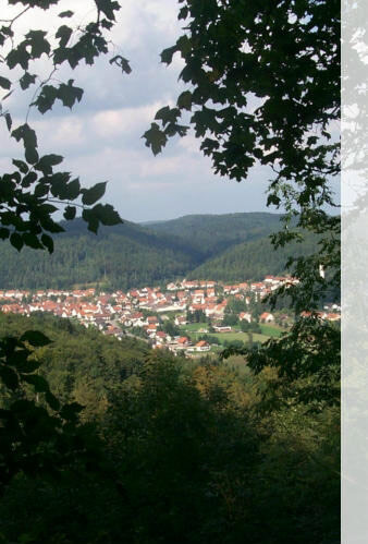 Gauselfingen
