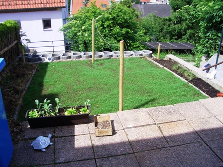 nach 10 Tagen